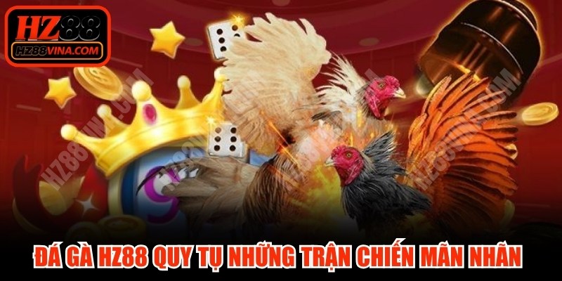 Đá gà HZ88 quy tụ những trận chiến mãn nhãn giữa các chiến kê hàng đầu