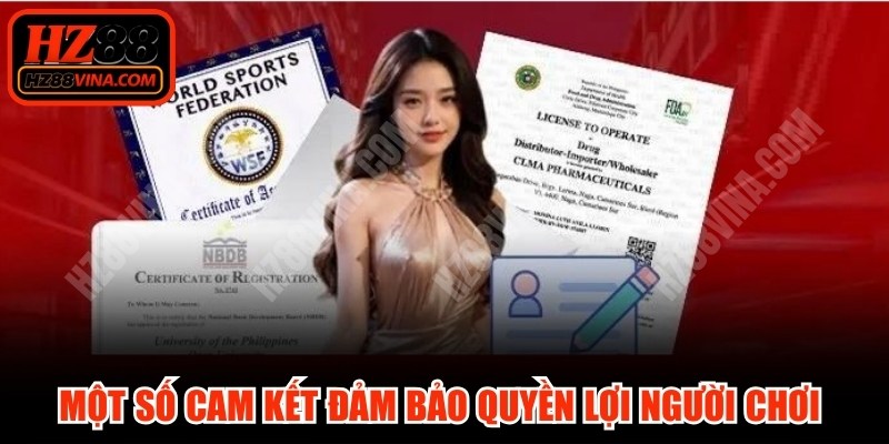 Một số cam kết đảm bảo quyền lợi người chơi của giấy phép hoạt động